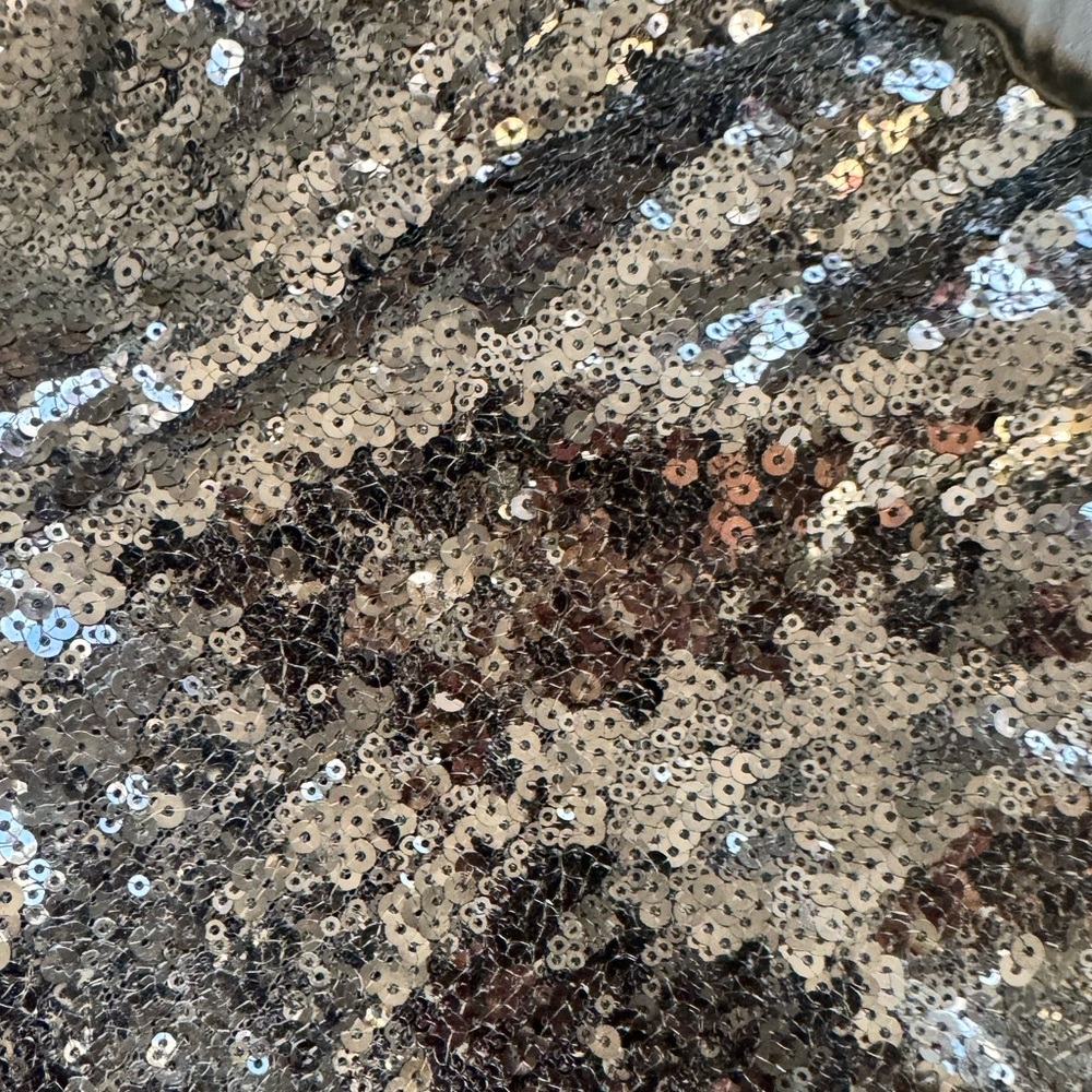 Sequin Pants - image 3